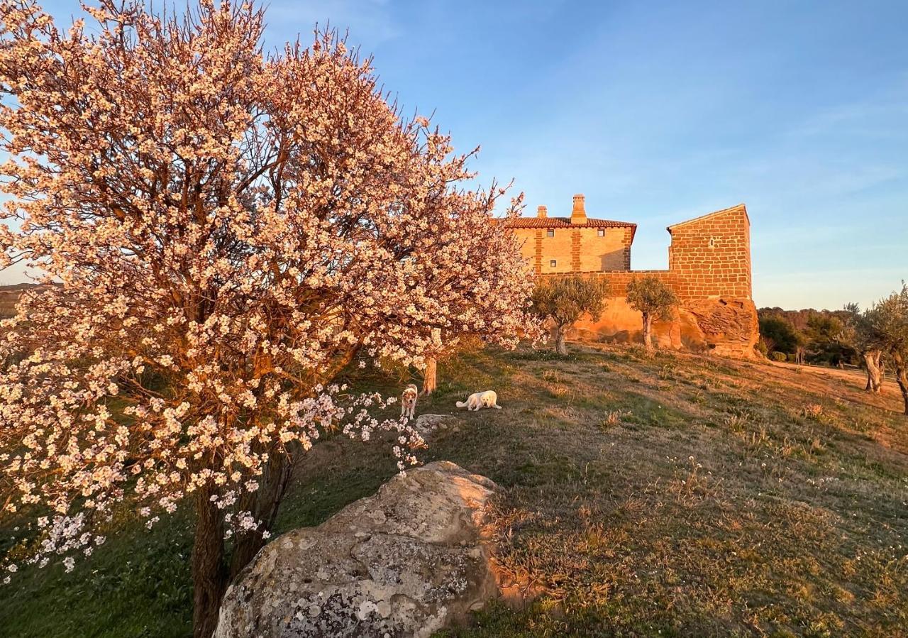Castillo De Corvinos Huesca Kültér fotó